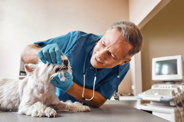 Best Pediatric Emergency Dentist in Sherman, TX